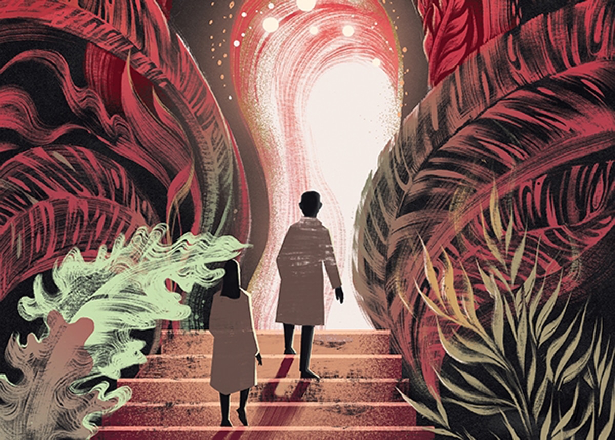 Illustration d'une flore