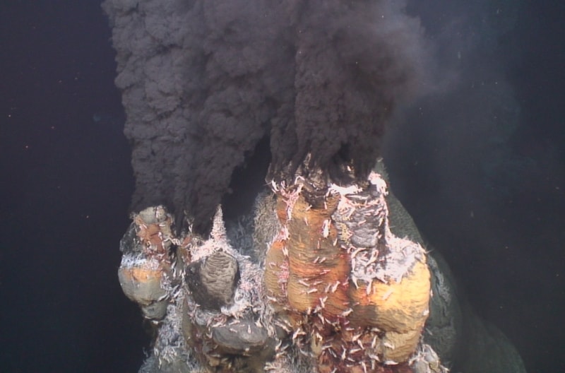 Image: Ifremer, agrégats de crevettes sur un site hydrothermal