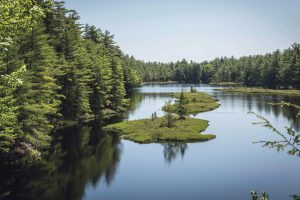 Petit lac aux rives boisées. 