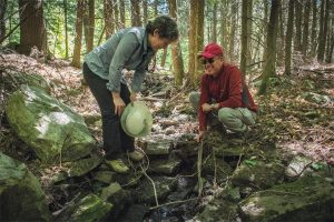 Deux personnes dans la forêt se penchent pour observer le sol.