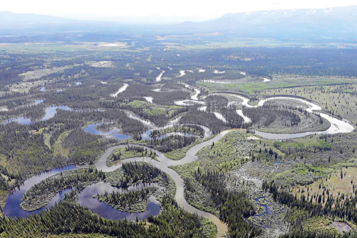 Photo aérienne. Une rivière très sinueuse serpente entre les arbres d'un paysage nordique assez plat.