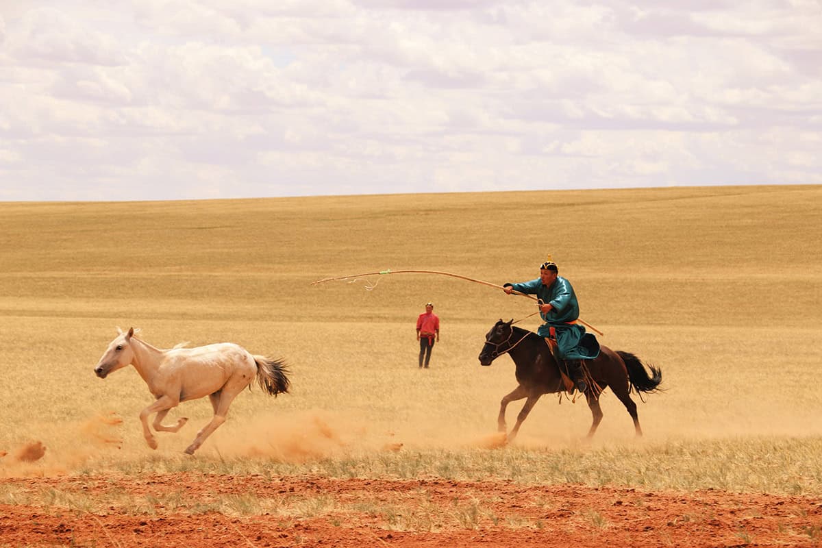 Dans une steppe, un cavalier en costume traditionnel, monté sur un cheval brun au galop. Il lance un lasso pour capturer un cheval blanc qui galope devant eux. Une personne se tient debout à l'arrière-plan. Le ciel est nuageux.