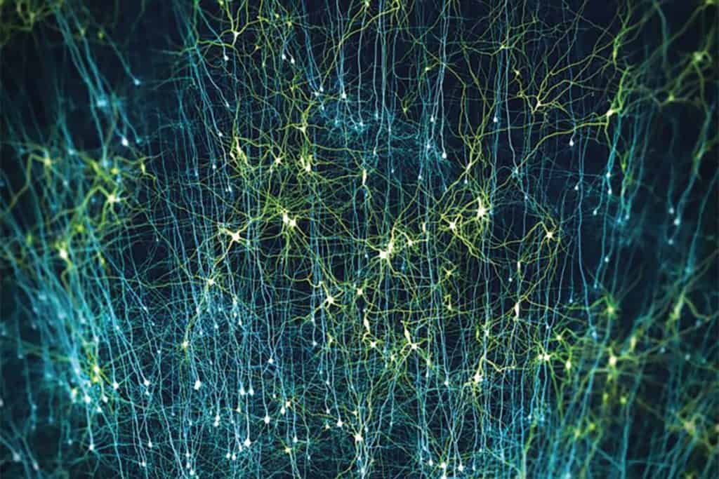 Sur fond noir, des filaments colorés, orientés verticalement. Une zone de l'image contient surtout des filaments colorés en bleu pâle. Dans la zone voisine, les filaments sont colorés en vert pâle. Un amas brillant de la même couleur est au bas de chaque filament.