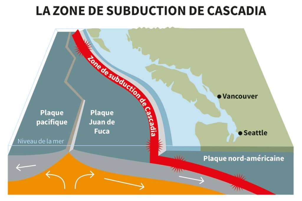 Diagramme qui montre la localisation de la zone de subduction de Cascadia, au large de la côte ouest canadienne. On aperçoit à la gauche du dessin la faille qui sépare la plaque pacifique et la plaque Juan de Fuca. Des flèches indiquent la direction du déplacement de chaque plaque. La plaque pacifique se déplace vers l'ouest. La plaque Juan de Fuca se déplace vers l'est et plonge sous la plaque nord-américaine. C'est à leur jonction que se trouve la zone de subduction.