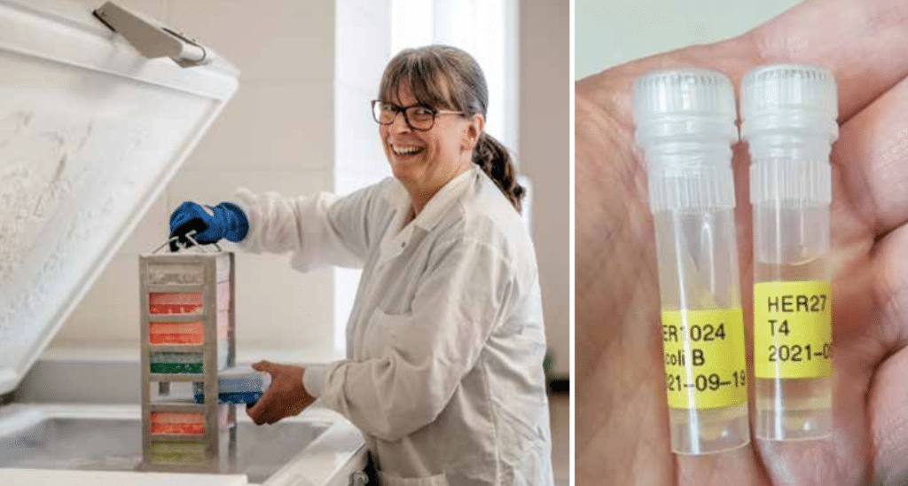 La photo de gauche montre une femme en sarrau qui sort des échantillons d'un congélateur. Elle porte des lunettes, des cheveux longs attachés et sourit à la caméra. La photo de droite montre la paume d'une main qui tient deux tubes transparents contenant des échantillons.