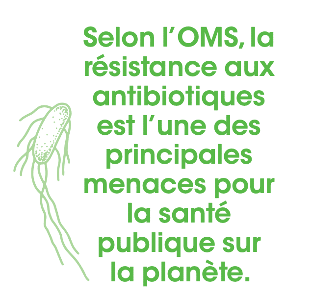 Exergue: Selon l'OMS, la résistance aux antibiotiques est l'une des principales menaces pour la santé publique sur la planète.