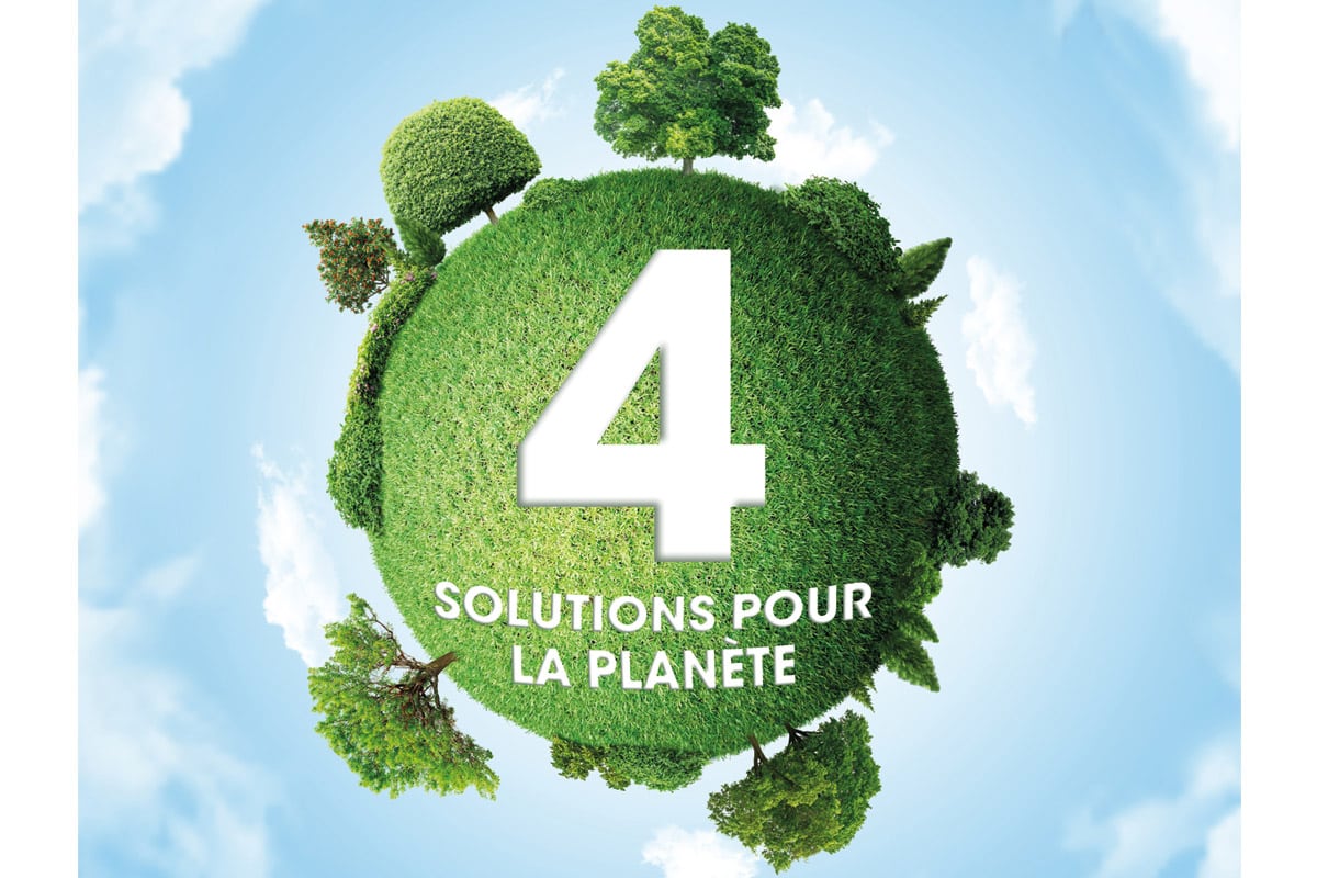 Illustration réalisée par ordinateur. Une sphère à texture de gazon sur laquelle sont plantés des arbres.