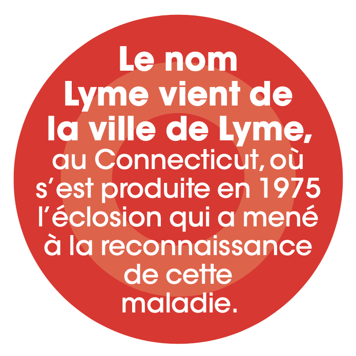 Le nom Lyme vient de la ville de Lyme, au Connecticut, où s’est produite en 1975 l’éclosion qui a mené à la reconnaissance de cette maladie.